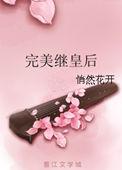 完美继皇后讲的什么故事