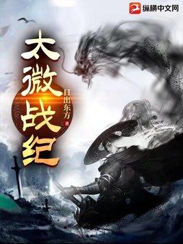 太玄战记大结局
