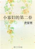 小寡妇再嫁的甜宠文