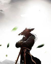 法师战士类