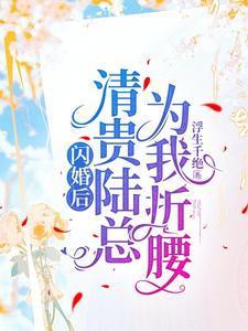 闪婚后我成了陆少的心尖宠全文免费阅读