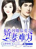 闪婚爱妻免费阅读全文