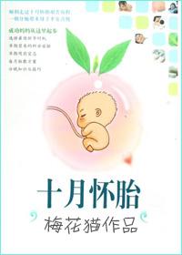 十月怀胎过程视频