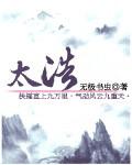 太浩无极书虫