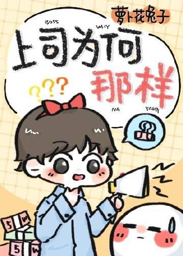 上司啥意思